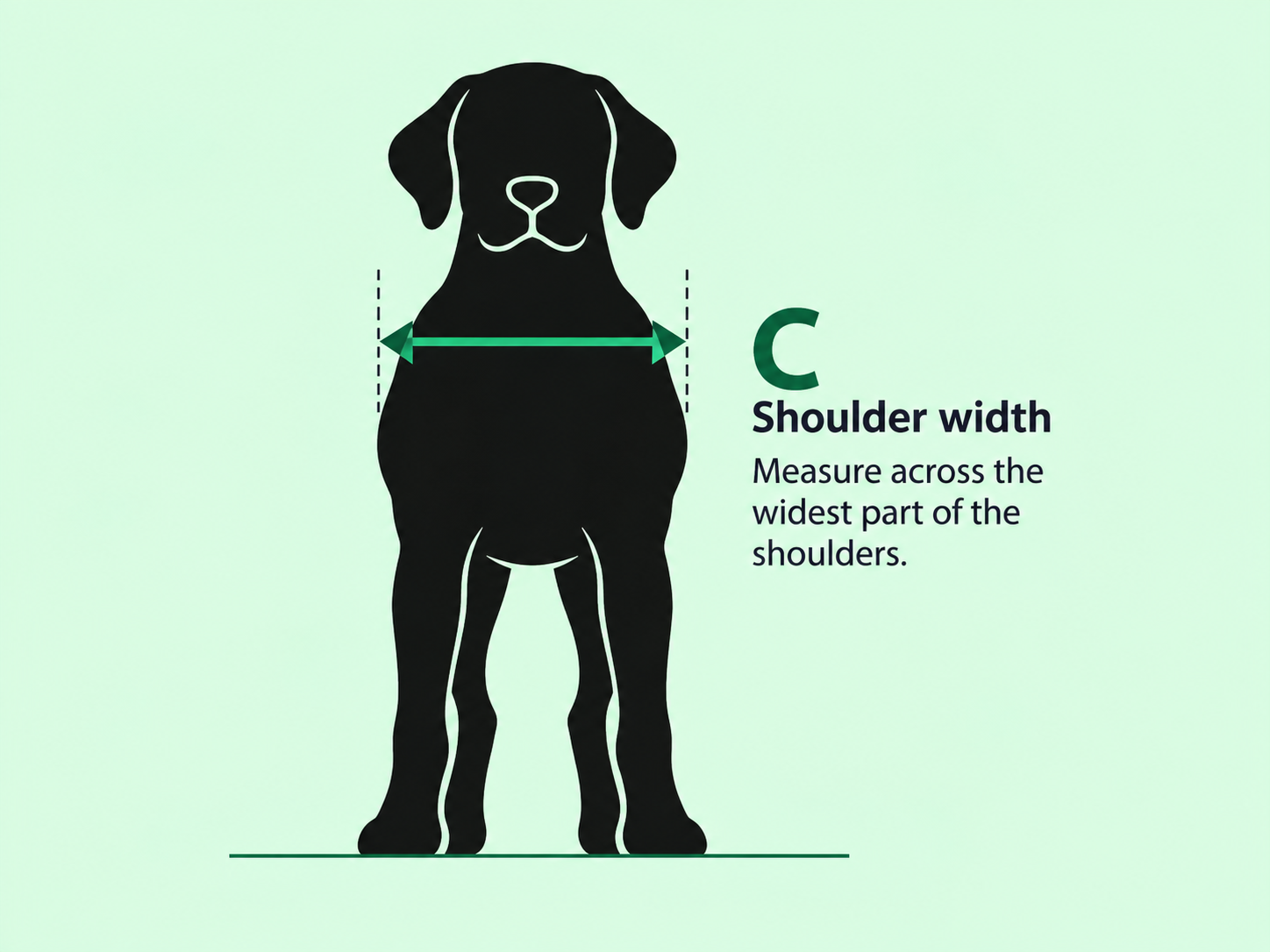Front view of a dog showing measurement C across the widest part of the shoulders